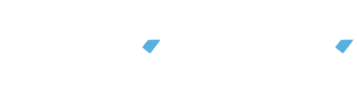 Pix Lex logo